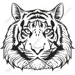 Majestic Tiger Head