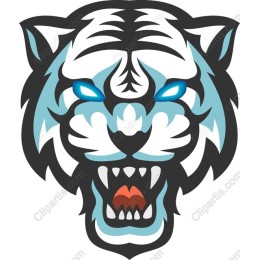Fierce Blue-Eyed White Tiger