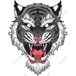 Fierce Tiger Head