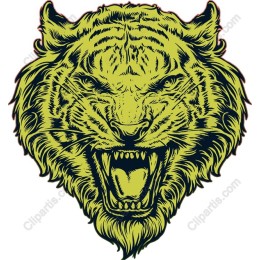 Fierce Roaring Tiger