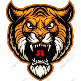 Fierce Tiger