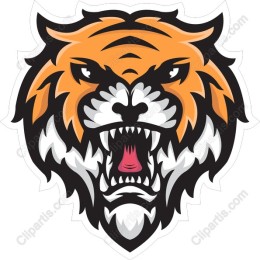 Fierce Tiger Head