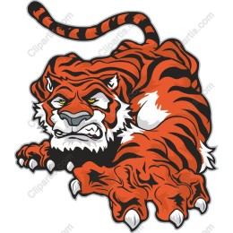 Fierce Tiger