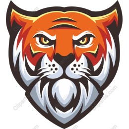 Fierce Tiger Head
