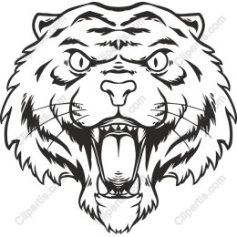 Fierce Tiger Head