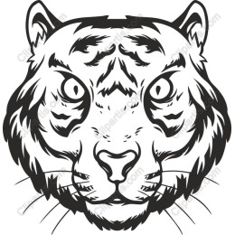 Fierce Tiger Head