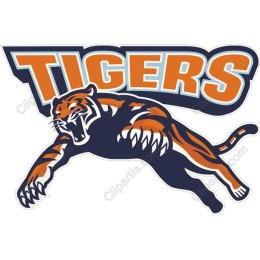 Fierce Tiger