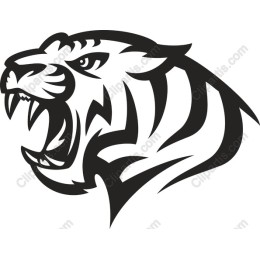 Tiger Head