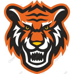 Fierce Tiger Head
