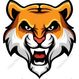Fierce Tiger Head