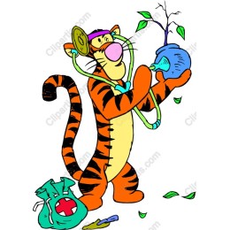 Cheerful Tiger Healthcare