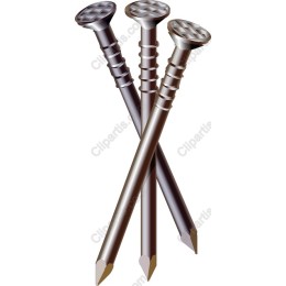 Premium of Construction Nails