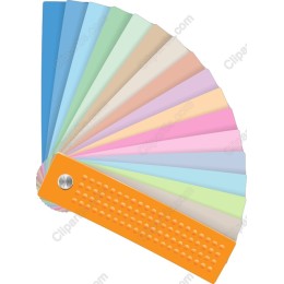 Vibrant Color Palette