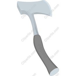 Professional Axe