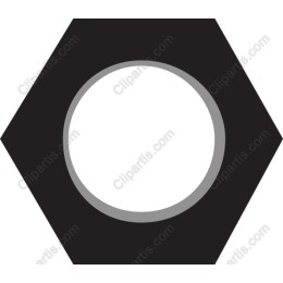 Hex Nut