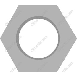 Hex Nut