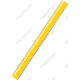 Vibrant Yellow Ruler