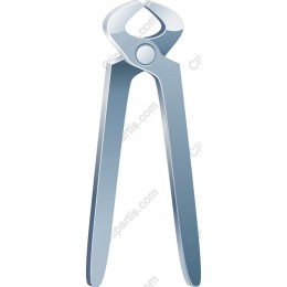Metallic Pliers