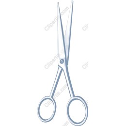 Classic Scissors