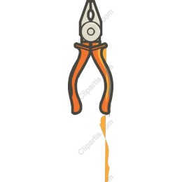 Vibrant Pliers