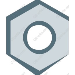 Premium Hexagonal Nut