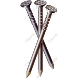 Nail - Trio of Sturdy Nails