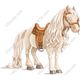 Majestic White Horse