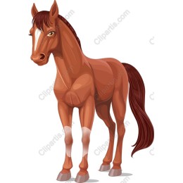 Elegant Horse