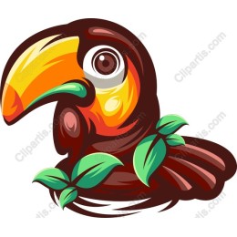 Tropical Toucan