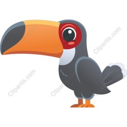 Cartoon Toucan