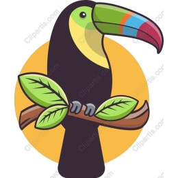 Vibrant Toucan