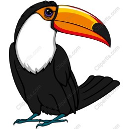Vibrant Toucan