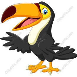 Playful Toucan