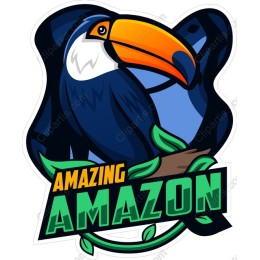 Amazing Amazon Toucan