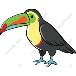 Vibrant Toucan