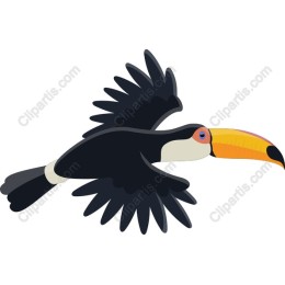 Tropical Flying Toucan