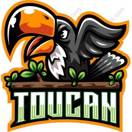 Vibrant Toucan