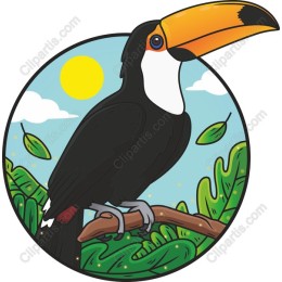 Tropical Toucan
