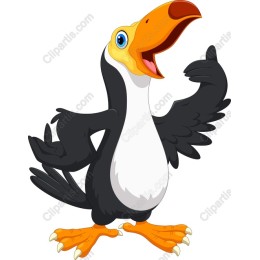 Playful Toucan