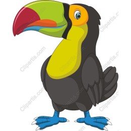 Colorful Playful Toucan