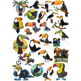 Toucan Collection - Exotic Clipart Bundle