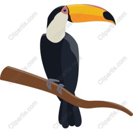 Tropical Toucan