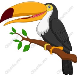 Vibrant Cartoon Toucan