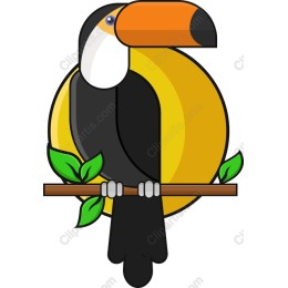 Tropical Toucan