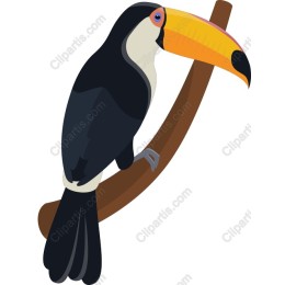 Vibrant Toucan