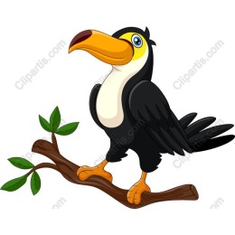 Cheerful Toucan
