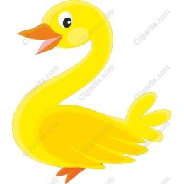 Vibrant Yellow Duck