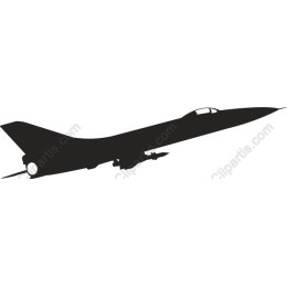 Supersonic Aircraft