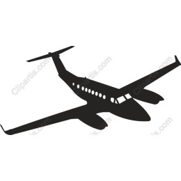 Sleek Aircraft