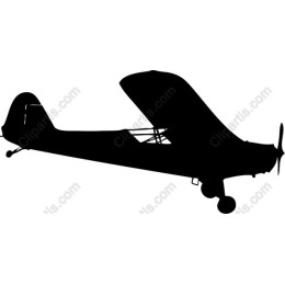 Classic Biplane